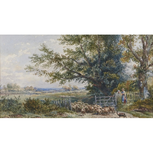 Appraisal: Joseph Paul Pettitt - - Driving Sheep signed watercolour x