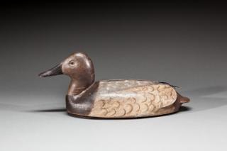 Appraisal: Canvasback Hen by Capt John Schweikart Capt John Schweikart -