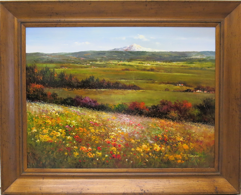 Appraisal: T MORGAN OIL ON CANVAS valley landscape with wildflowers and