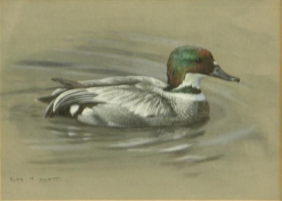 Appraisal: Alan M Hunt watercolour study of a duck signed Saleroom