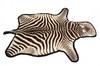 Appraisal: ZEBRA SKIN RUG - Complete Skin of Zebra including head