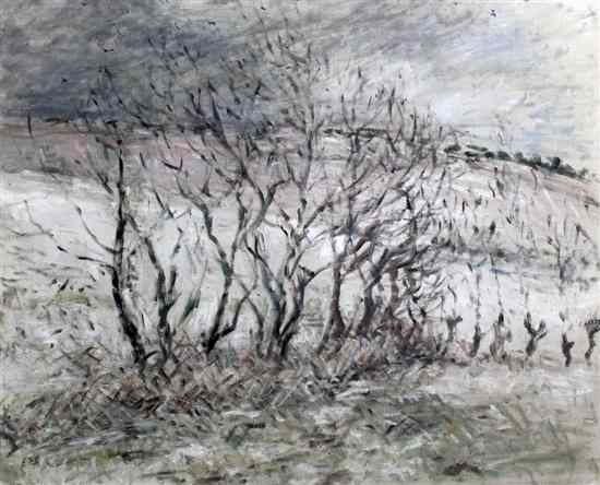 Appraisal: Elinor Bellingham Smith - oil on canvas Trees in a