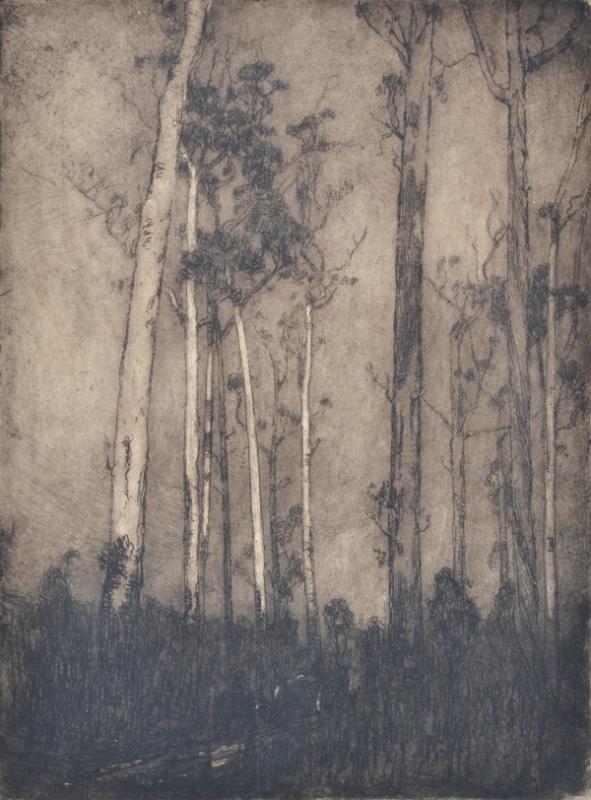 Appraisal: JESSIE TRAILL - The Bush Track drypoint etching JESSIE TRAILL