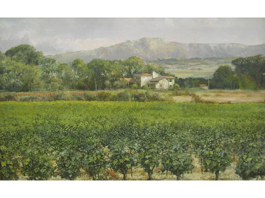 Appraisal: By Clive Madgwick RBA - - Vineyards near Luberon Provence