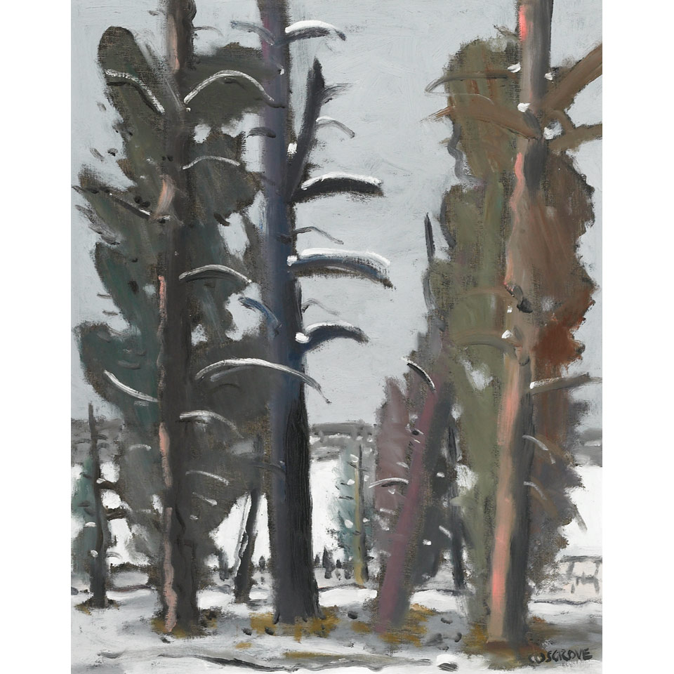 Appraisal: STANLEY MOREL COSGROVE R C A TREES IN WINTER QUEBEC