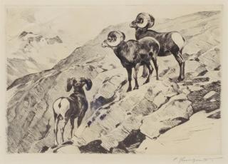 Appraisal: Cliff Dwellers by Carl Rungius Carl Rungius - etching and