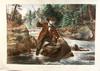 Appraisal: LITHO HANDCOLORED - 'Brook Trout Fishing An Anxious Moment' by