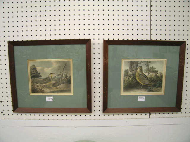 Appraisal: Pair of J Doughty Handcolored Engravings of birds