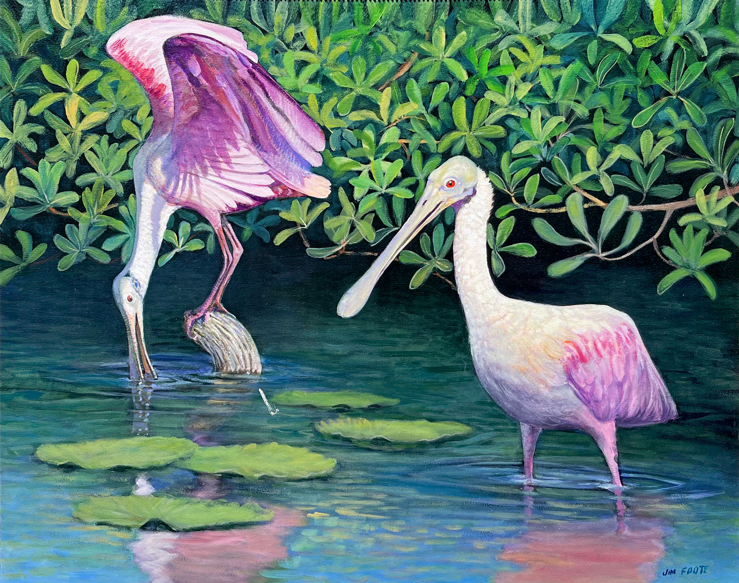 Appraisal: FOOTE Jim American - Roseate Spoonbills Oil Canvas '' x