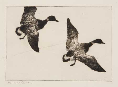 Appraisal: FRANK W BENSON Three etchings with drypoint Flock of Canvasbacks