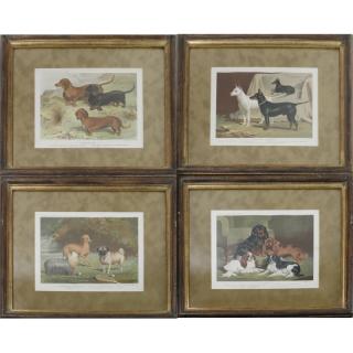 Appraisal: Cassellis Framed Prints of Dog Lithographs Illustrated framed prints of