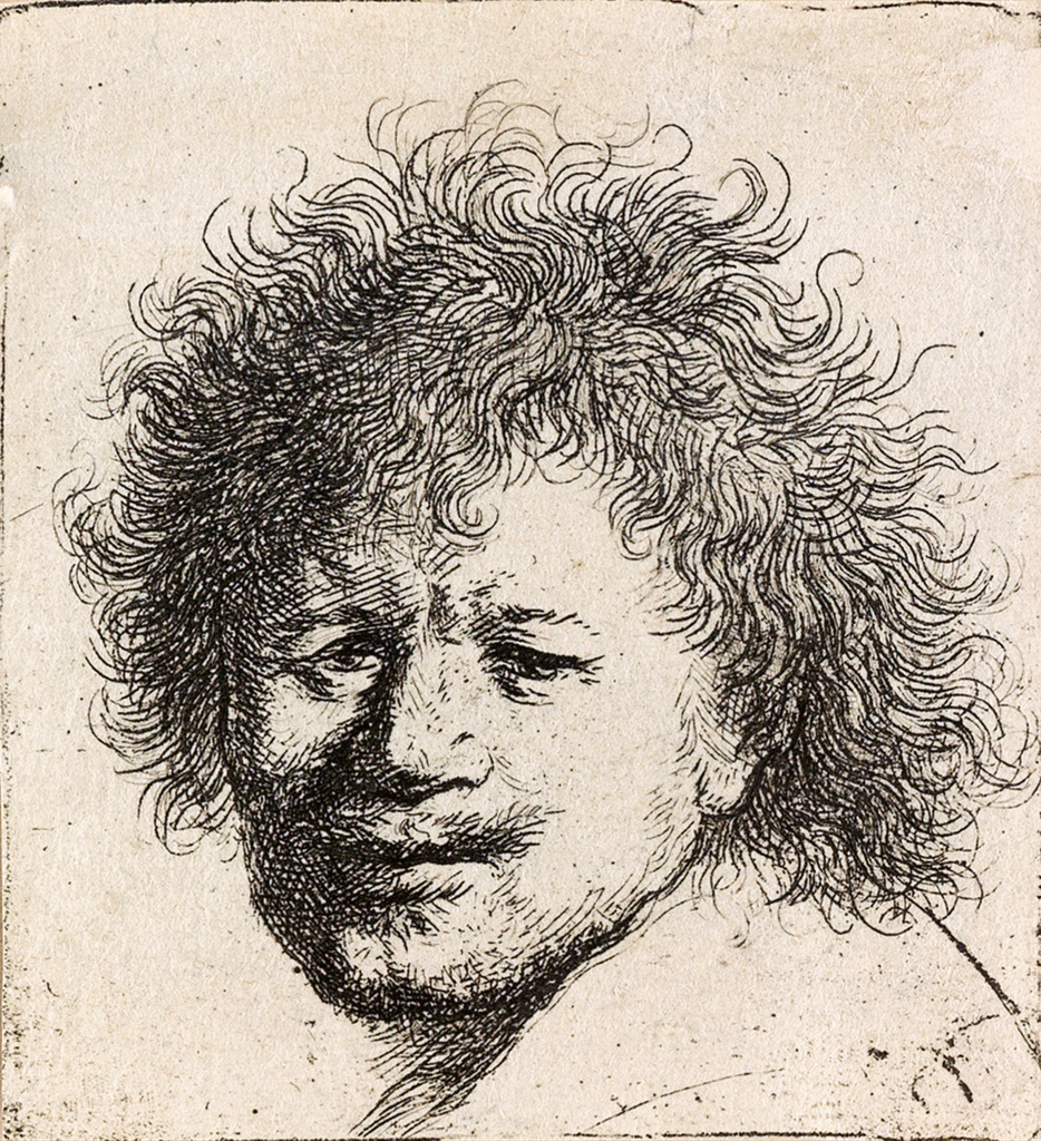 Appraisal: REMBRANDT VAN RIJN Self Portrait with Long Bushy Hair Head