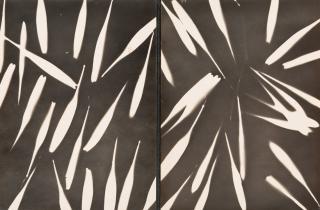 Appraisal: MIKHAIL MIKHAILOVICH TARKHANOV RUSSIAN - Photogram circa silver print x