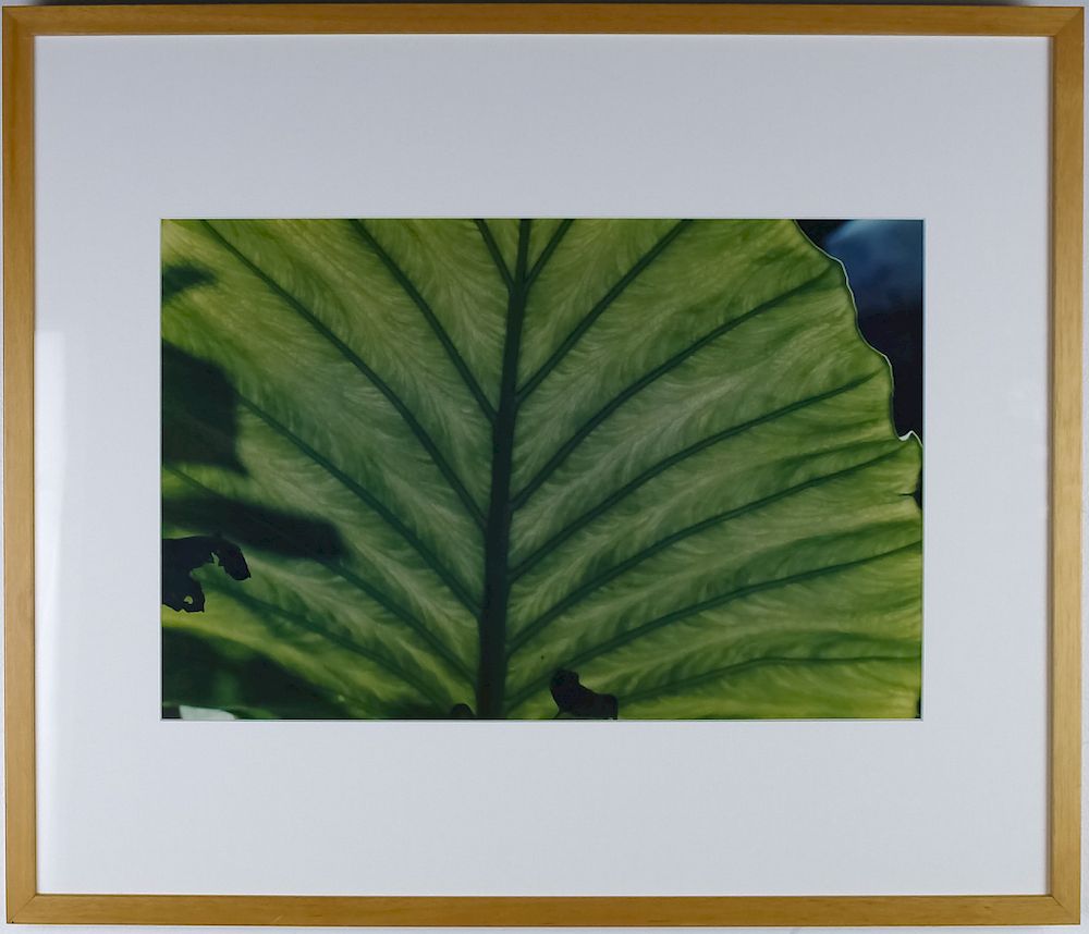 Appraisal: Evelyn H Lauder Luminous Leaf Photo DAMONE ESTATE Evelyn H