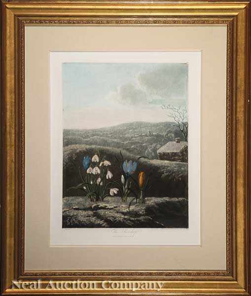 Appraisal: Dr Robert John Thornton English - The Snowdrop hand-colored engraved