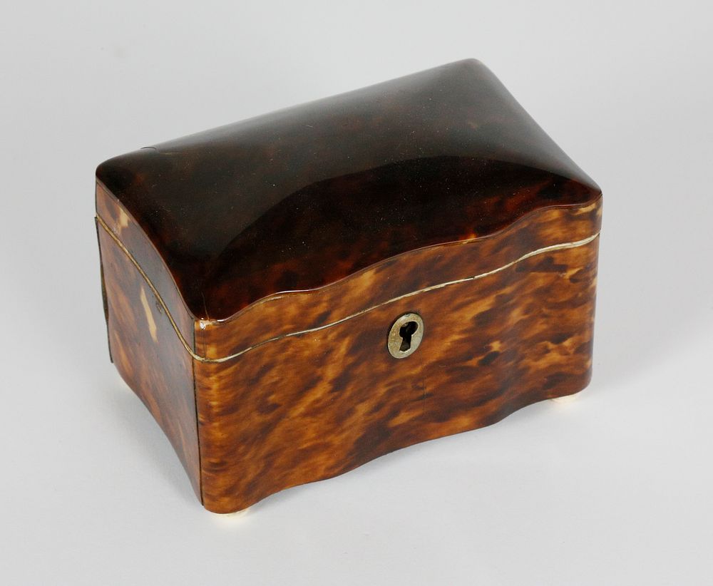 Appraisal: Early th Century English Regency Tortoiseshell Single Compartment Tea Caddy