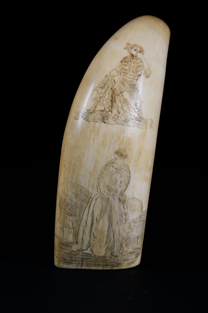 Appraisal: Whaler Scrimshaw Sperm Whale Tooth circa Whaler Scrimshaw Sperm Whale