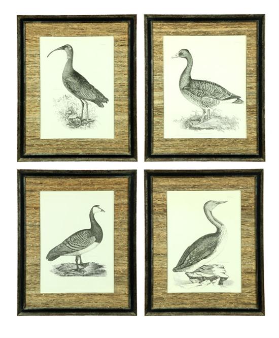 Appraisal: FOUR BIRD PRINTS BY JOHN PRIDEAUX SELBY ENGLISH - Engravings