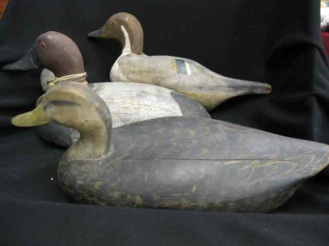 Appraisal: Carved Painted Wooden Decoys one is a canvasback Lack Erie