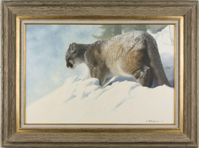 Appraisal: Peter Darro Am th c Cougar in Snow oil on