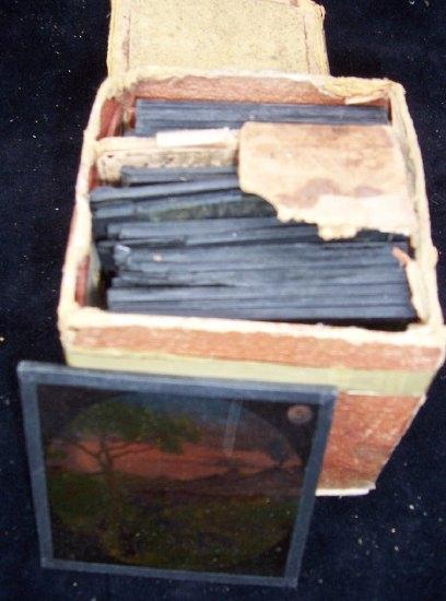 Appraisal: A quantity of lantern slides including architectural views bird life