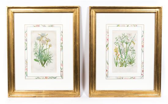 Appraisal: Sale Lot Four Hand Colored Botanical Engravings each framed and