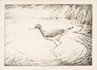 Appraisal: Henry Emerson Tuttle Startled Wader signed Tuttle imp lower centerdrypoint