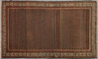 Appraisal: Oriental Carpet ' x ' Provenance The Esta Oriental Carpet