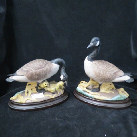 Appraisal: Boehm Porcelain Pair of Canadian Geese male female tallest is