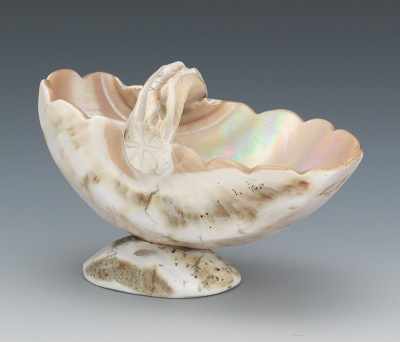 Appraisal: A Carved Natural Shell Master Salt Mother of pearl pink