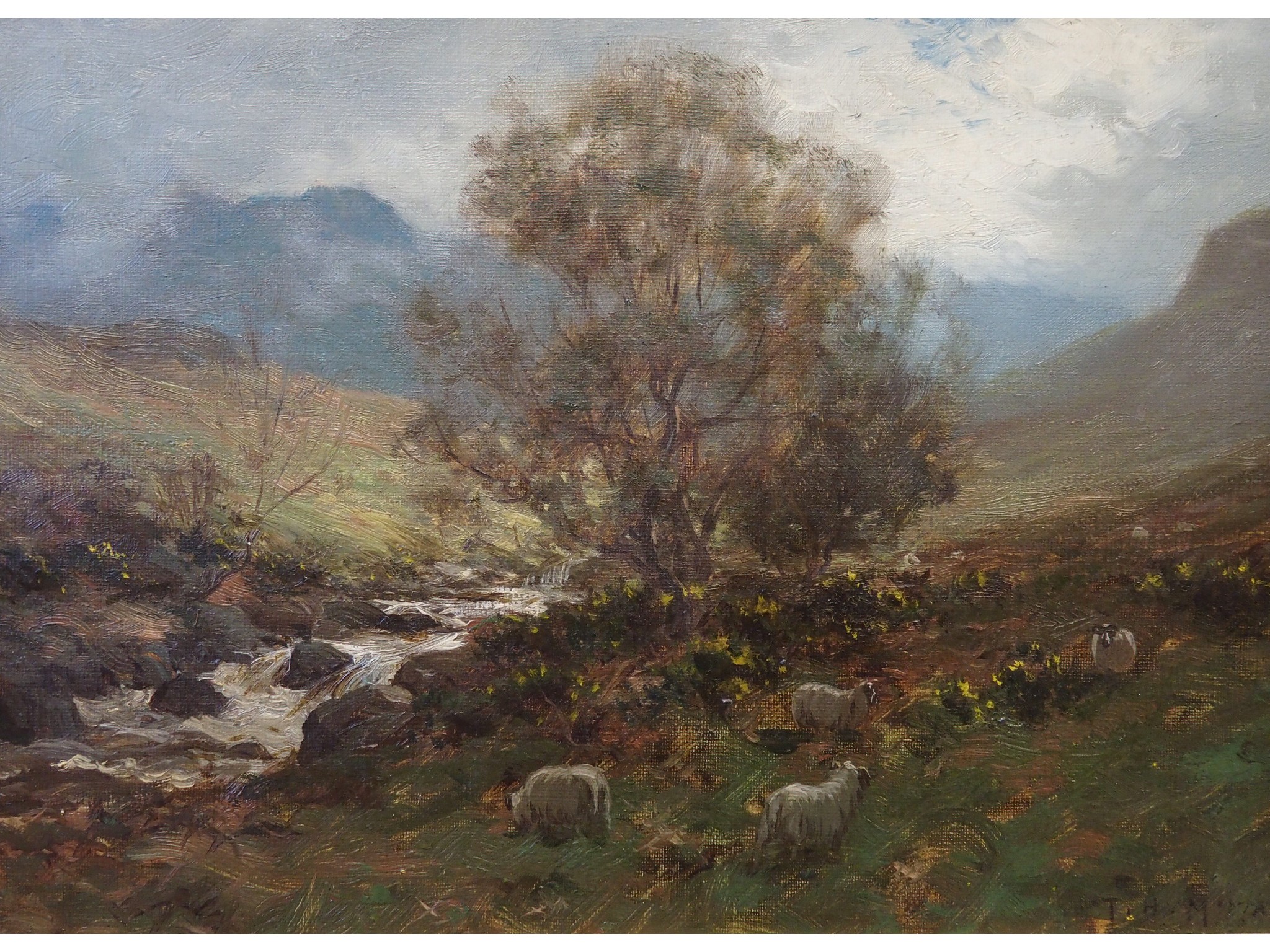 Appraisal: THOMAS HOPE MacKAY Scottish Fl - SHEEP IN THE HIGHLANDSOil