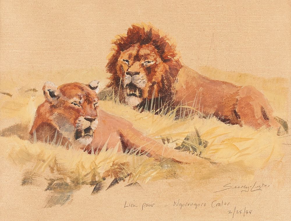 Appraisal: John Seerey-Lester Lion Pair - Ngorongoro Crater Acrylic on Canvas