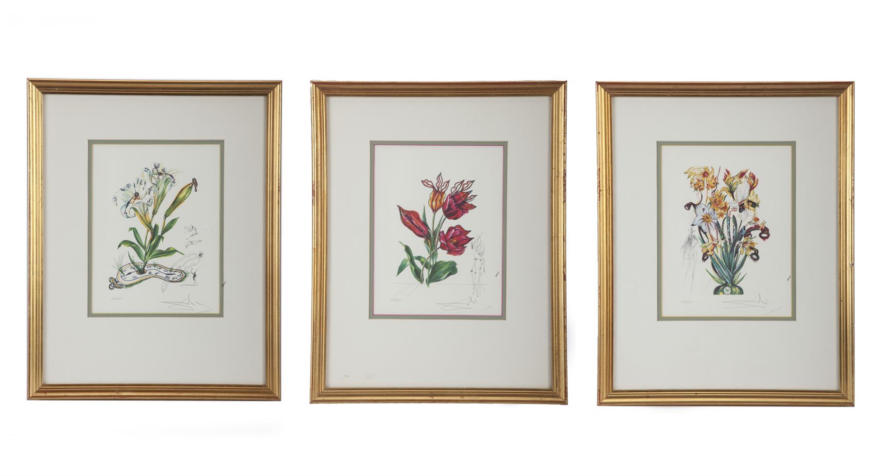 Appraisal: THREE FLORAL PRINTS SALVADOR DALI SPAIN - Limited edition prints