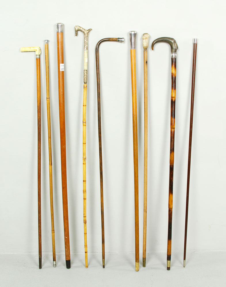 Appraisal: - Lot of Nine Canes and Walking Sticks Nine canes