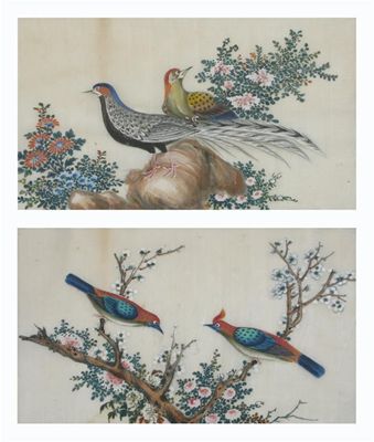 Appraisal: A pair of Chinese pith paper paintings of colourful birds