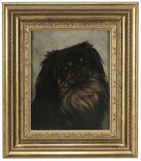 Appraisal: Frederick Thomas Daws British - The Pekinese Champion Broadoak Beetle