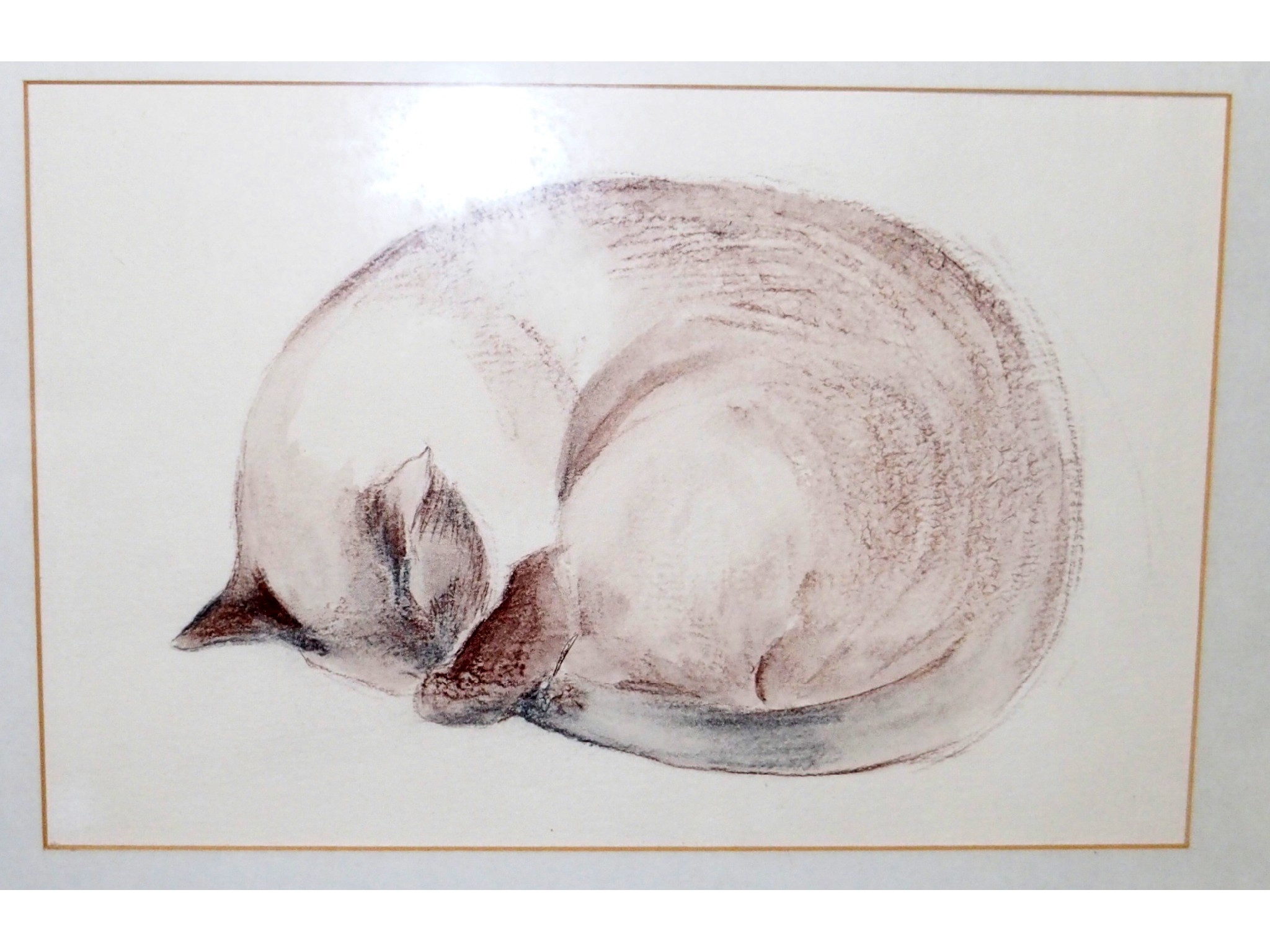 Appraisal: WILLIAM CROSBIE Sleeping cat watercolour and pencil