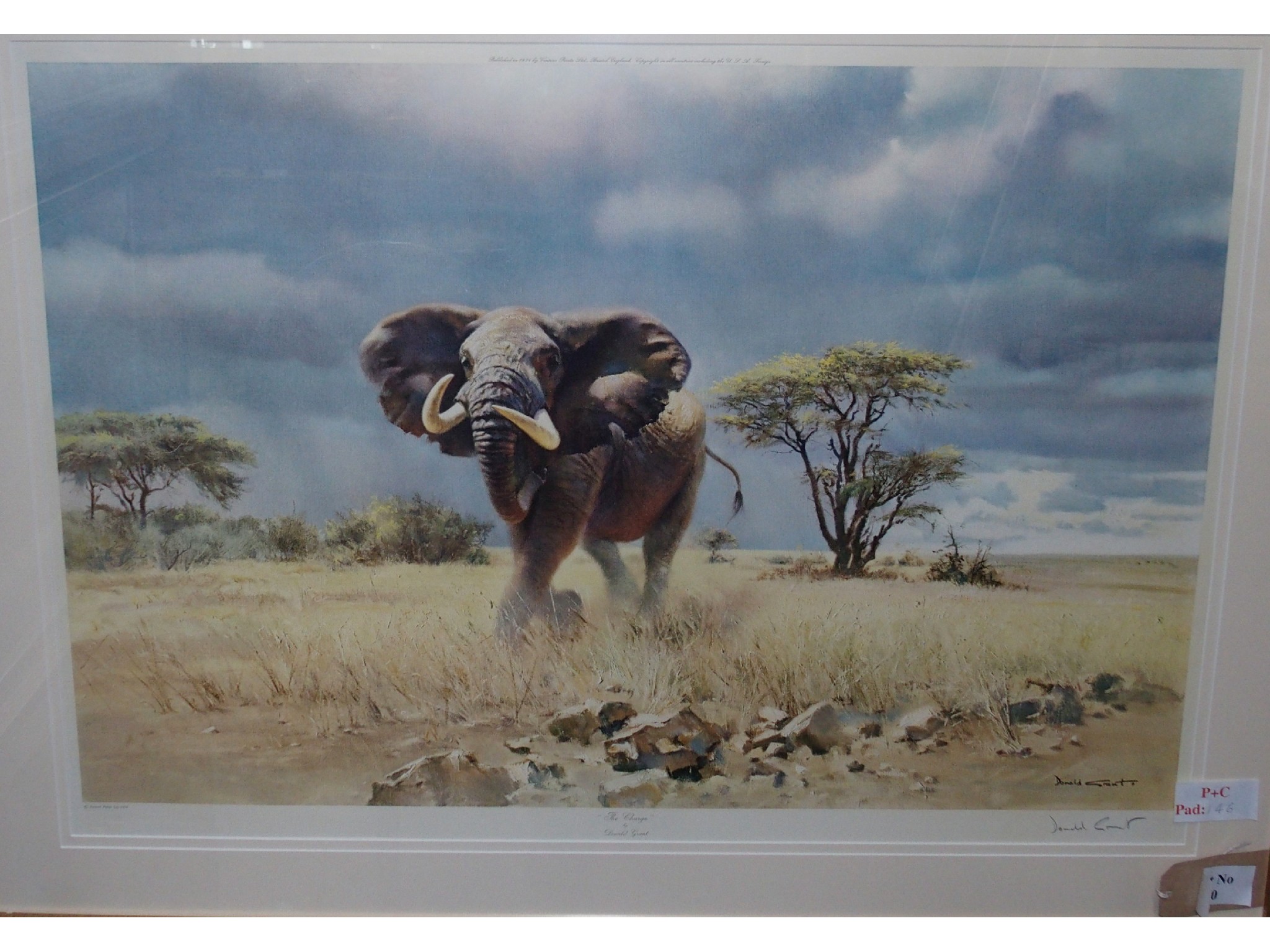 Appraisal: DONALD GRANT The Charge Zebras Grazing signed print