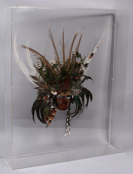 Appraisal: Arts and Crafts exotic feather mask in plexiglas case h