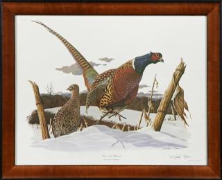 Appraisal: Richard Sloan - Ring-necked Pheasant Plate No colored print pen