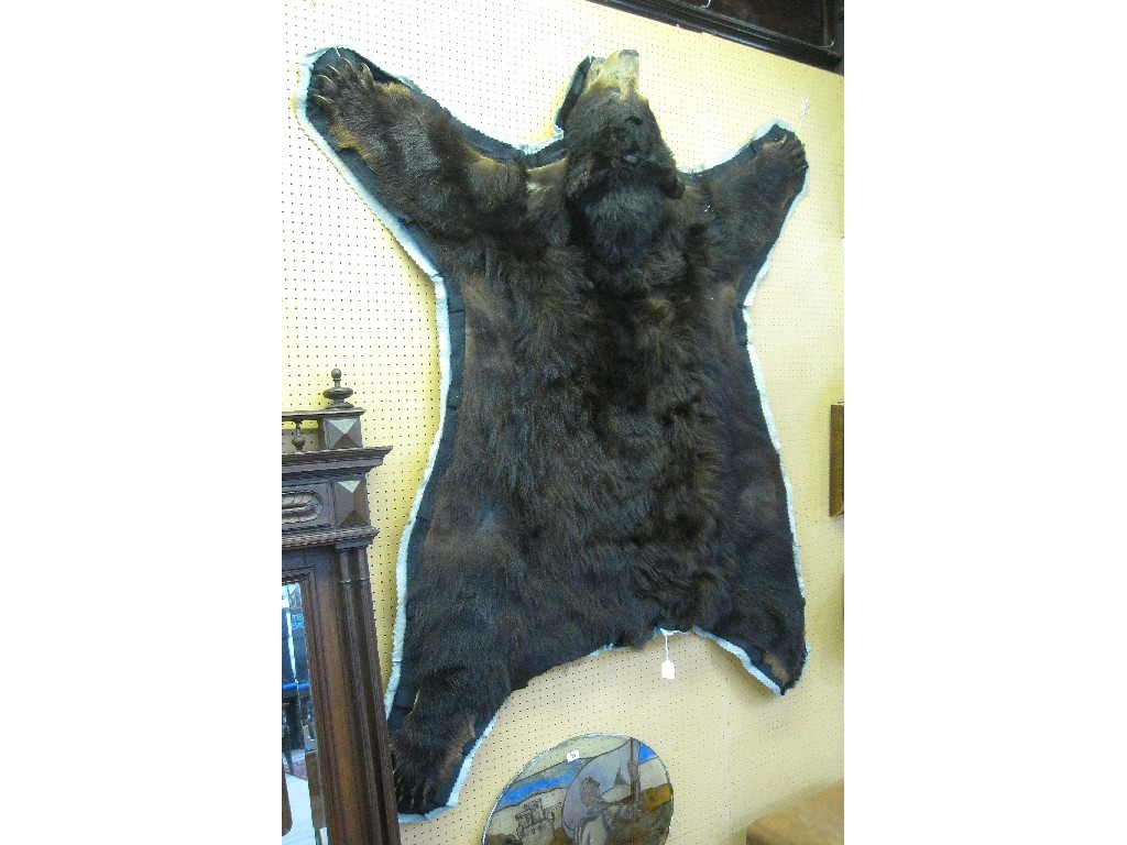 Appraisal: Brown bearskin rug