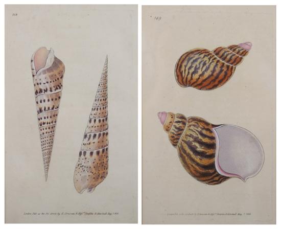 Appraisal: AFTER EDWARD DONOVAN British - Six hand colored engravings from