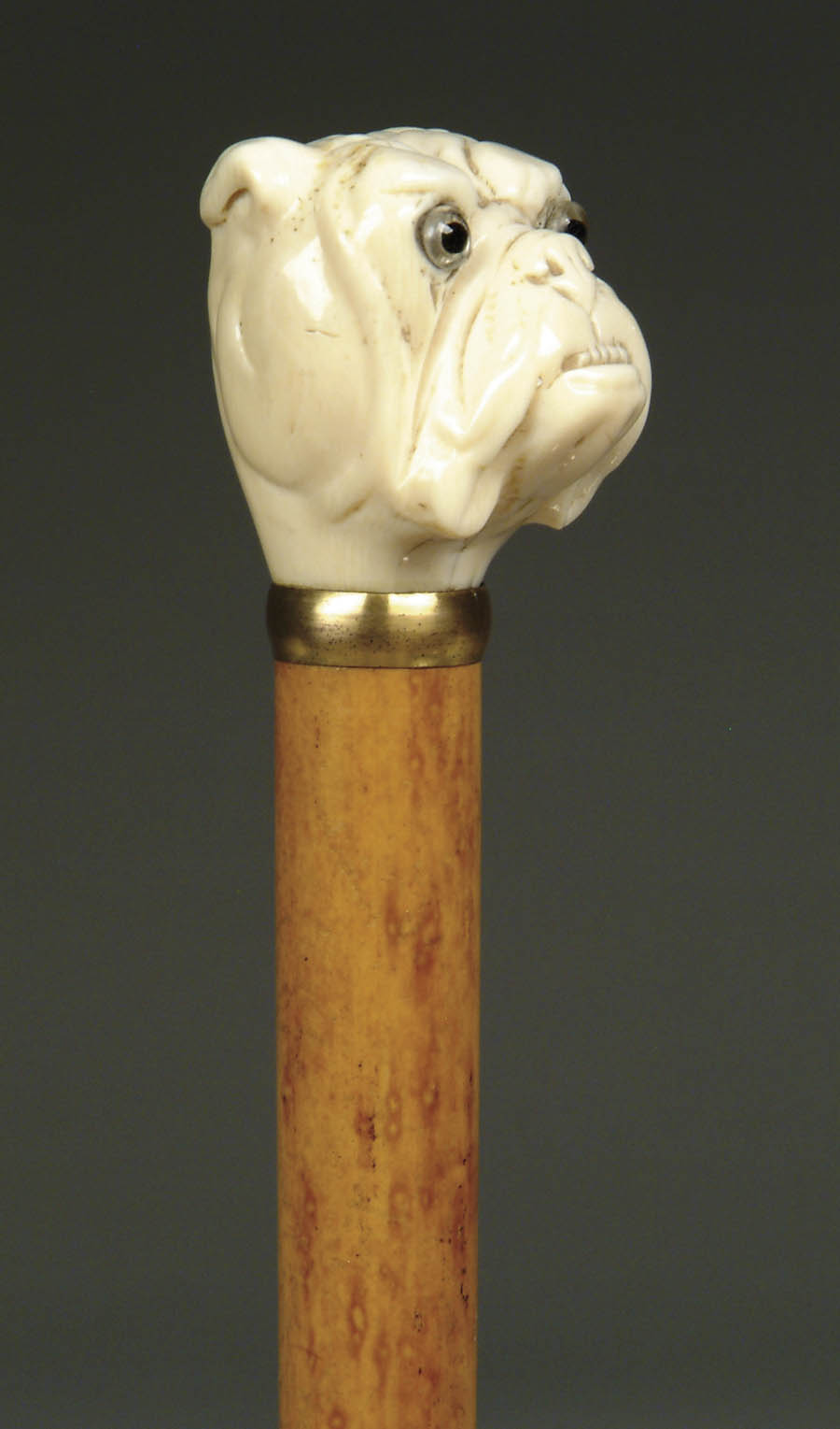 Appraisal: CARVED IVORY BULL DOG CANE Closed mouth large jowl bulldog