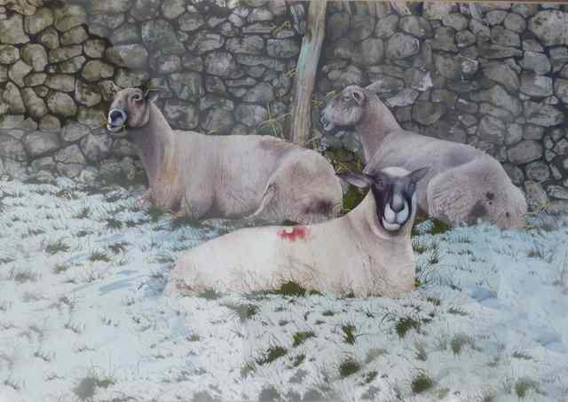 Appraisal: NEIL WESTWOOD LATE TH CENTURY SHEEP IN SNOW signed lower