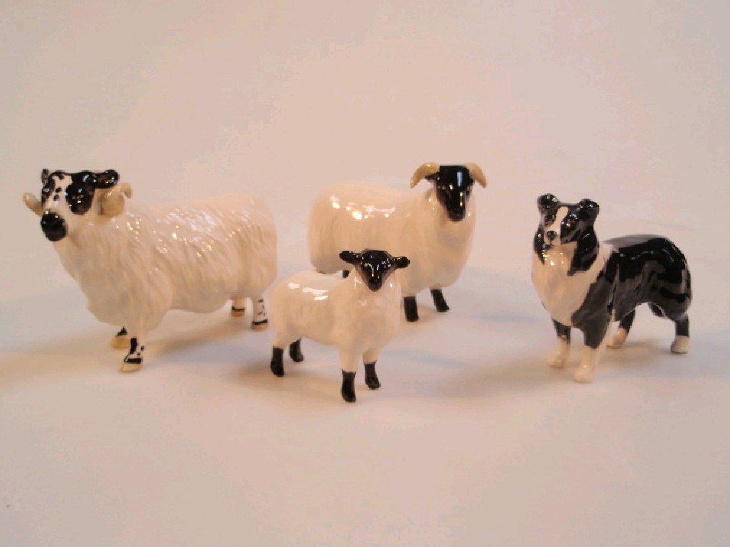 Appraisal: Three Beswick sheep and a sheep dog