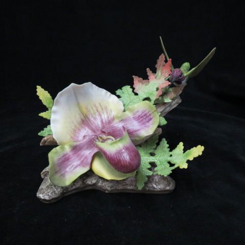 Appraisal: Boehm Porcelain Figurine Orchid Hummingbird x excellent