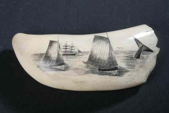 Appraisal: SCRIMSHAW CARVED WHALE'S TOOTH early-to-mid th century Depicting a whaling