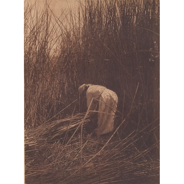 Appraisal: Edward Sheriff Curtis photogravure ''Gathering Tules Lake Pomo '' margin