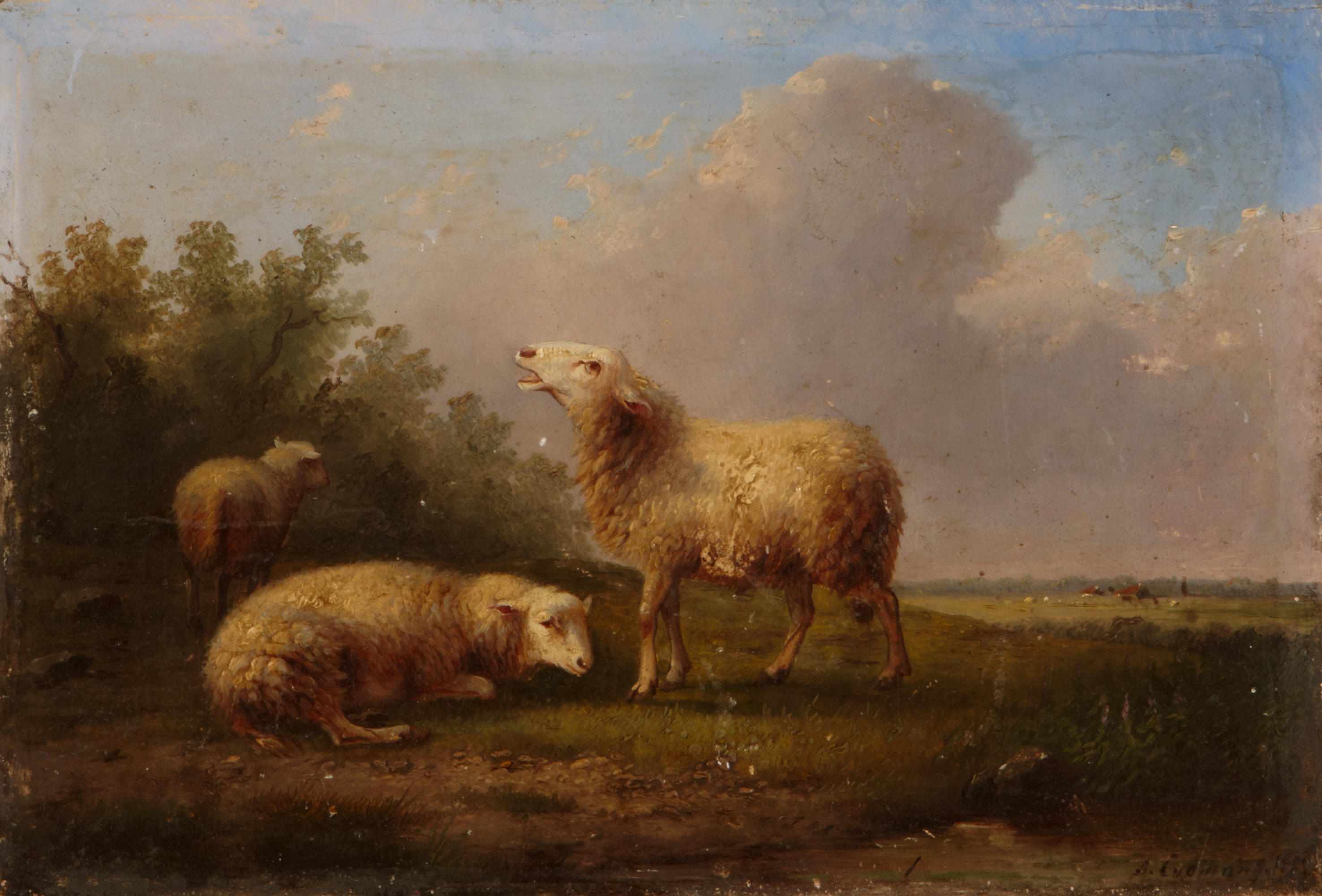 Appraisal: Auguste Coomans Belgian - Sheep in a meadow signed and