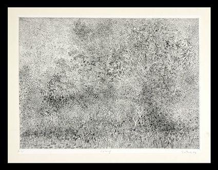 Appraisal: GABOR PETERDI - SPRING Etching and drypoint on paper x